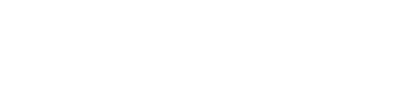 TLI Translog